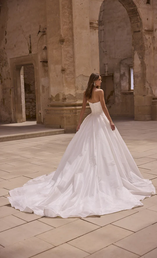 Veni Infantino - Harmonie